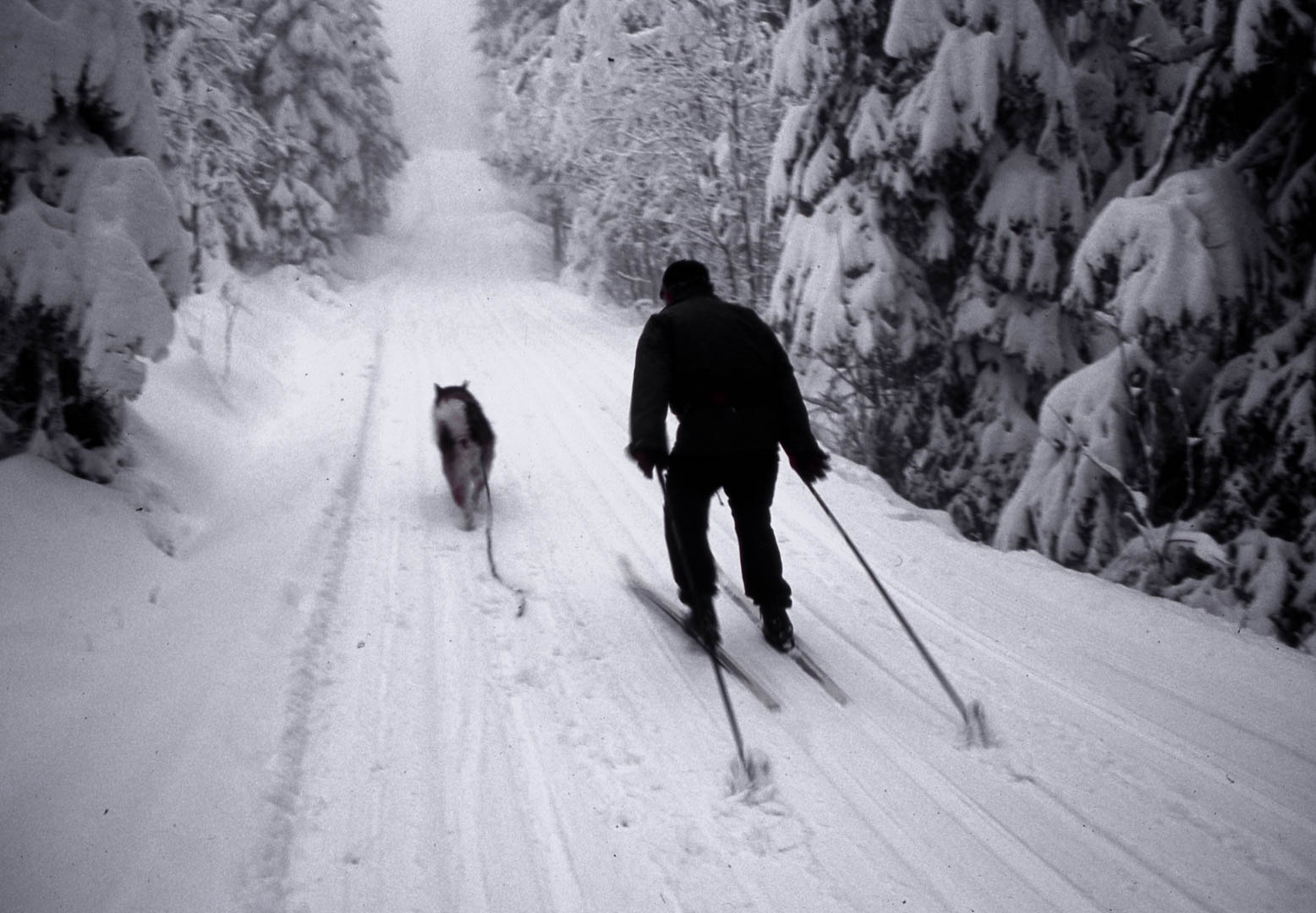 Day 3632, Clarence Darrow. - Nochrisis